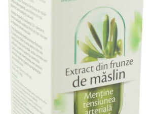 Extract din Frunze de Maslin Rotta Natura 60cps
