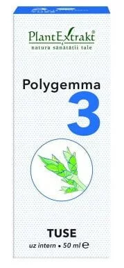 Polygemma 3