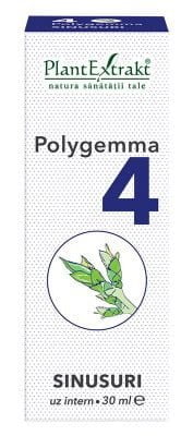 Polygemma 4