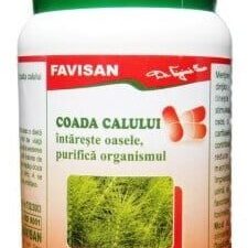 Coada Calului
